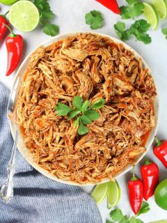 Plate of shredded mexican chicken