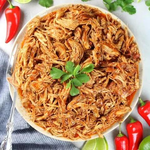 Plate of shredded mexican chicken
